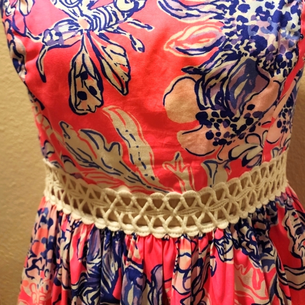 Lilly Pulitzer Fit and Flare Dress - Picture 5 of 6